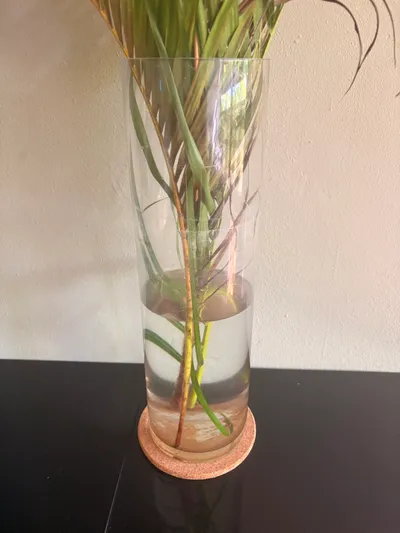Glass tall vase